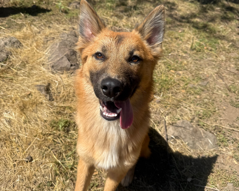 Coco